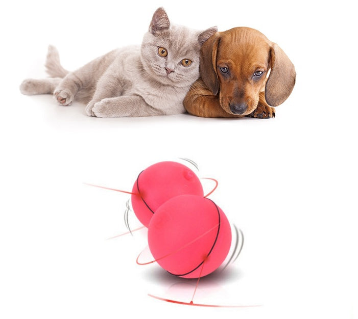 Blue USB rechargeable auto-moving ball for cats.