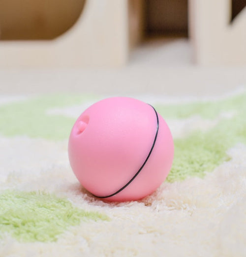 White rechargeable cat ball with teaser feather stick.