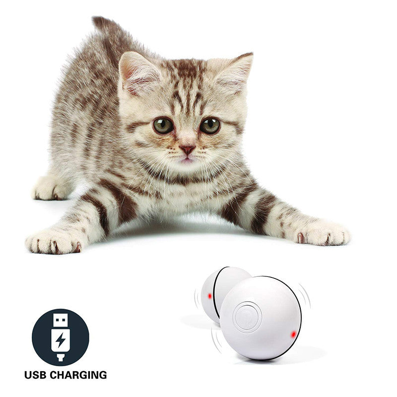 Cat beside a white interactive ball showing USB charging icon.