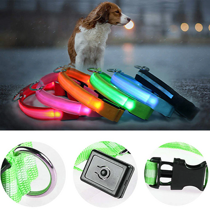 Dog wearing LED safety collar with close-ups of USB charging and quick-release buckle.