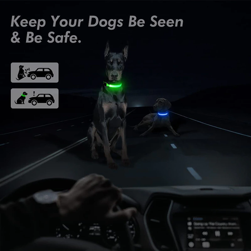 Car interior view showing dog wearing bright LED collar visible at night.