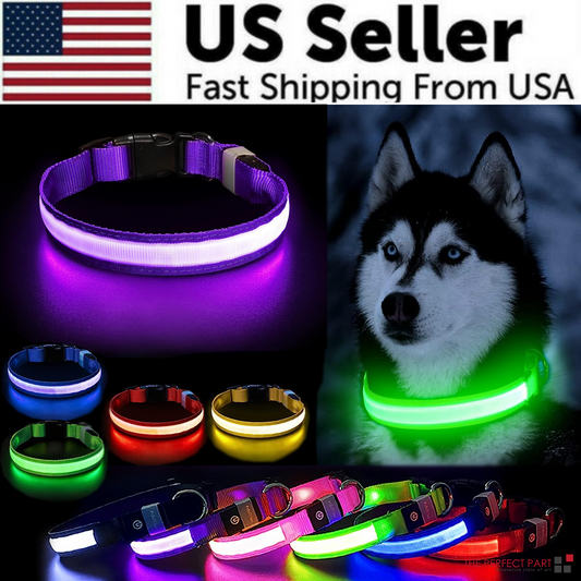 Hero image with husky and multiple glowing LED dog collars in assorted colors.