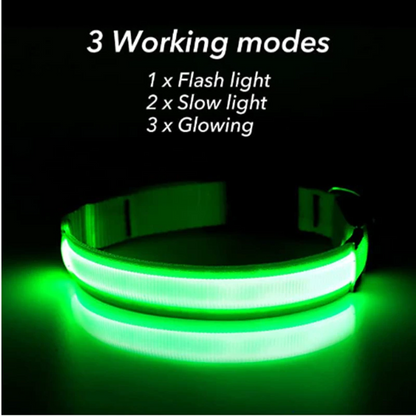 Green LED collar demonstrating the three lighting modes.