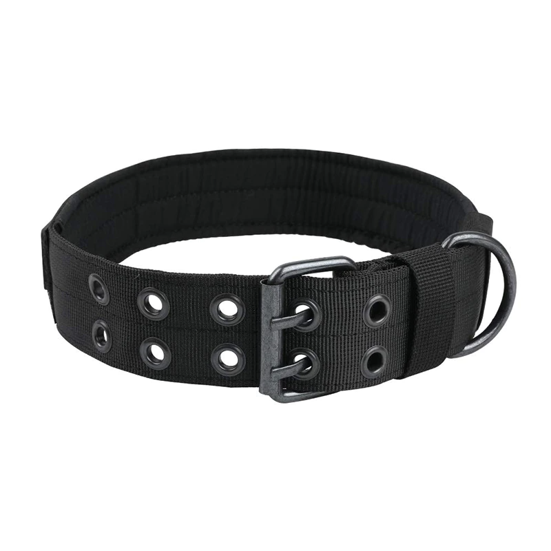 Photo showing metal buckle variations and attachment points on nylon collar.