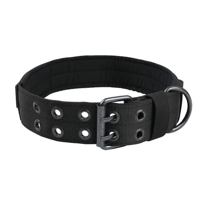 Photo showing metal buckle variations and attachment points on nylon collar.