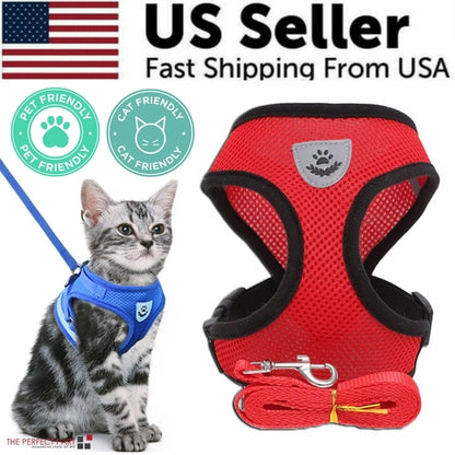 Red pet harness with breathable mesh and quick-release buckles.