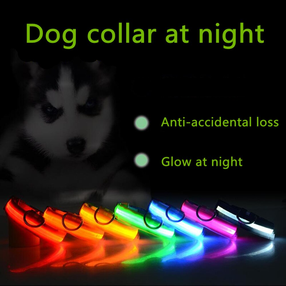 Banner comparing lighted collars in dark conditions.