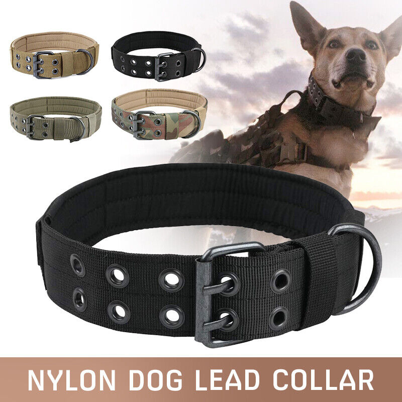Action shots of multiple breeds wearing tactical nylon dog collars.