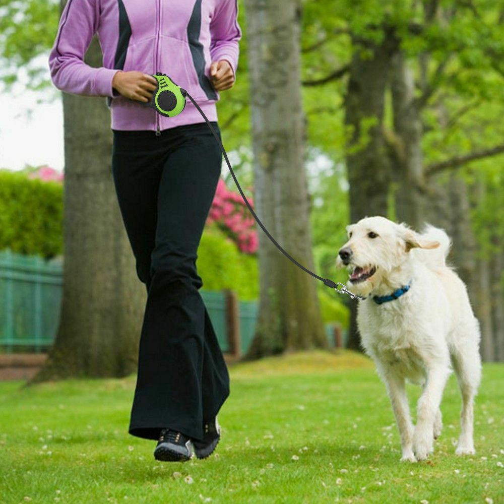 Woman walking white dog in park using the retractable tape leash.