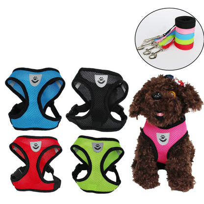 Small poodle wearing a pink reflective pet harness standing indoors.