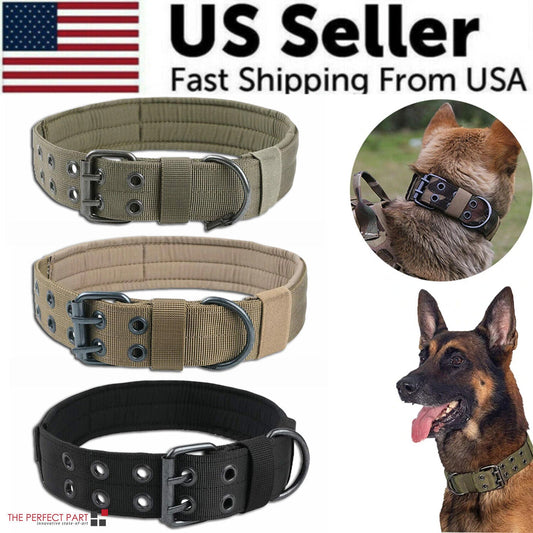 Three heavy-duty 2-inch nylon dog collars with metal buckles shown with a working dog.