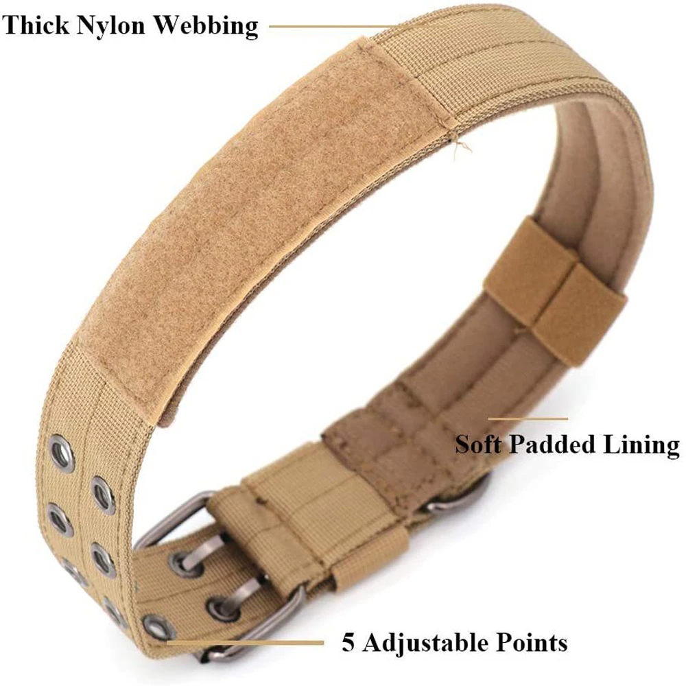 Sand color heavy-duty collar with double prong buckle and grommet holes.