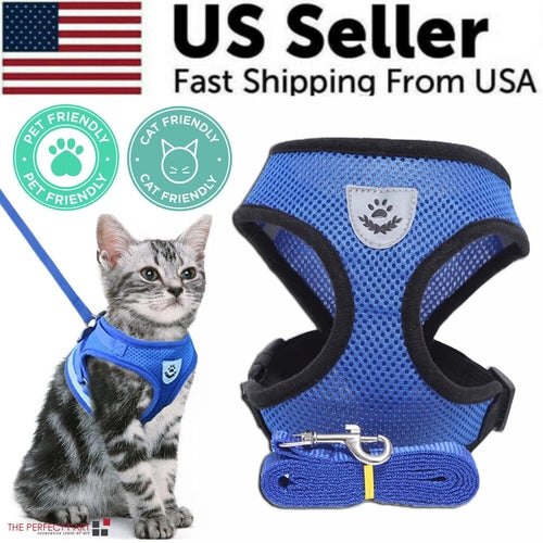 Blue mesh pet harness with chest badge and adjustable straps.