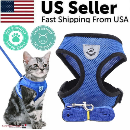 Blue mesh pet harness with chest badge and adjustable straps.