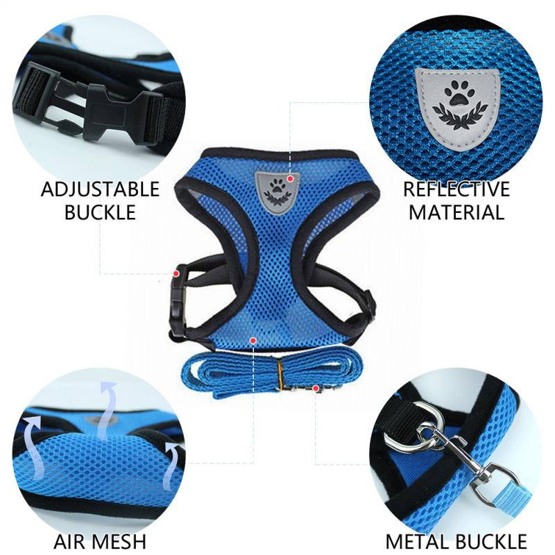 Close-ups of alloy D-ring and quick-release buckle on pet harness.
