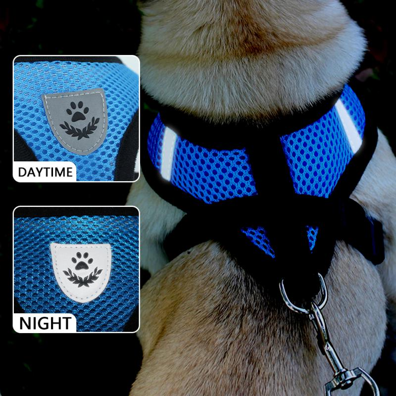 Detail of blue pet harness chest piece highlighting padded mesh and reflective trim.