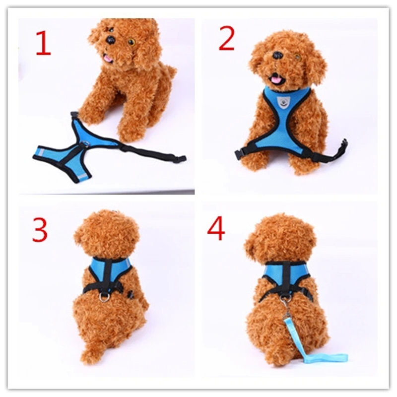 Pink and blue harness and leash sets displayed side by side.