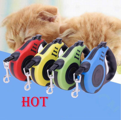 Close lineup of red, green, yellow, and blue retractable leashes on blue background.