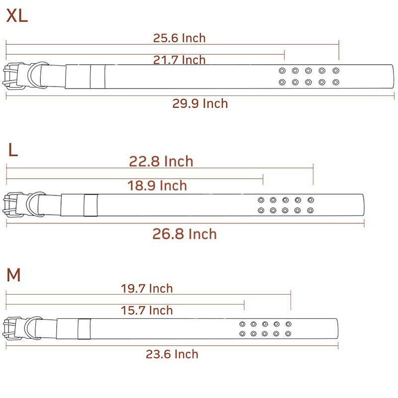 Olive green heavy-duty 2-inch dog collar with reinforced buckle.