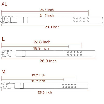 Olive green heavy-duty 2-inch dog collar with reinforced buckle.