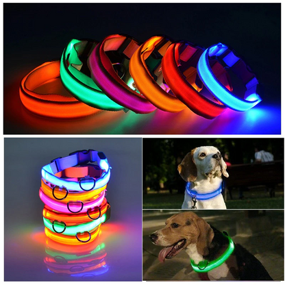 Assorted LED collars lit in blue, green, orange, and red on black background.