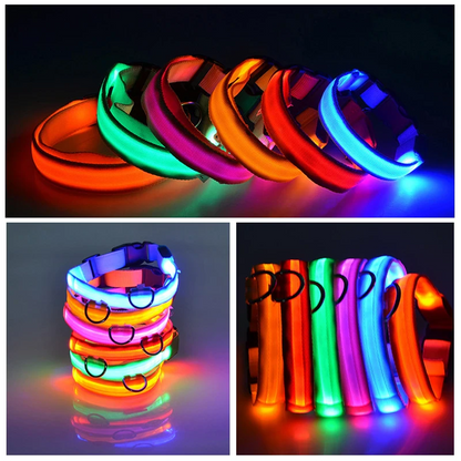 Column of colorful rechargeable LED collars glowing.