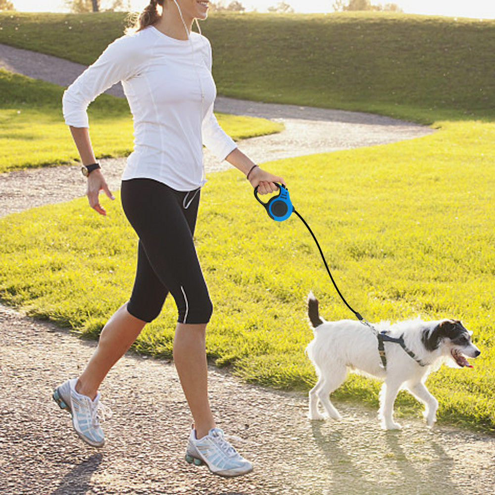 Person walking small dog using 16.5-foot automatic retractable leash outdoors.