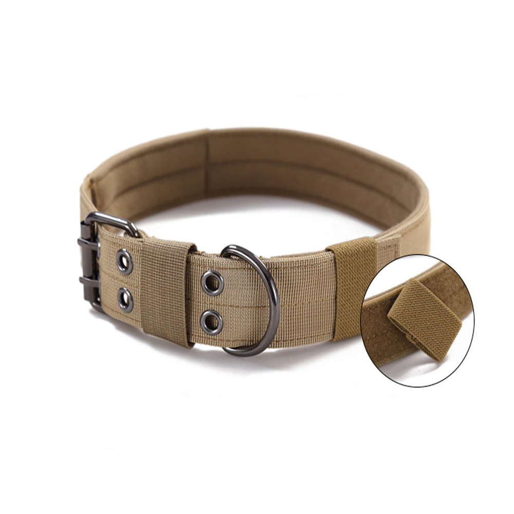 Wide 2-inch tan K9 collar with double prong buckle on white background.