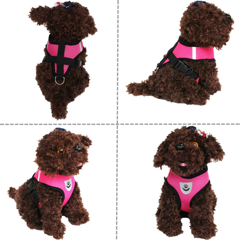 Step-by-step photo guide showing how to put the harness on a small dog.