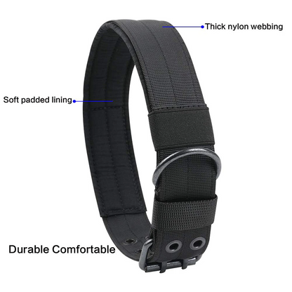 Close-up of black 2-inch K9 collar with reinforced stitching and metal hardware.