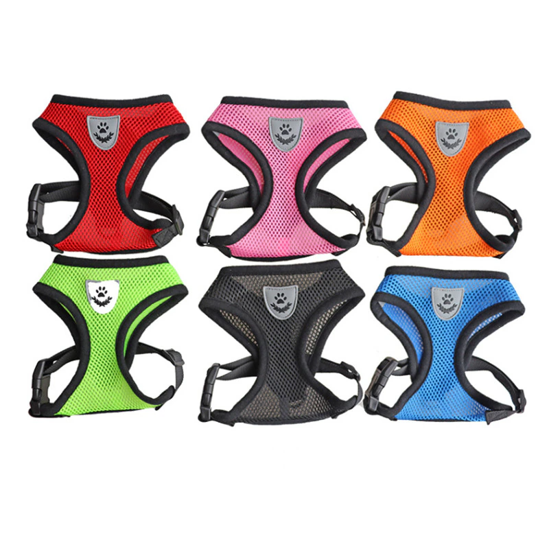 Array of small pet harnesses in black, blue, red, pink, orange, and green.