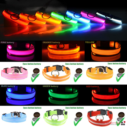 Additional grid showing multi-color LED dog collars lit at night.