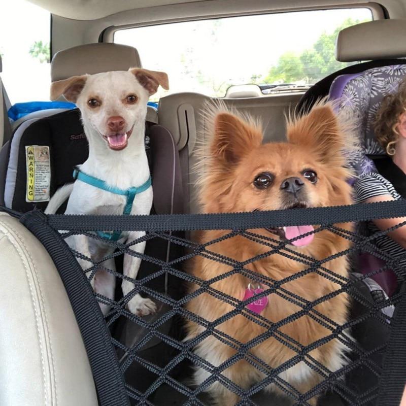 Two small dogs behind a car seat barrier net that keeps pets from jumping into the front seat.