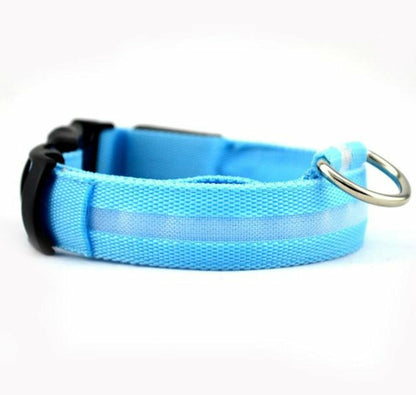 Close view of blue nylon LED collar with translucent light tube and D-ring.