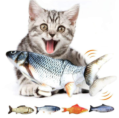 Gray tabby cat hugging a realistic flipping fish plush; multiple fish styles shown below.