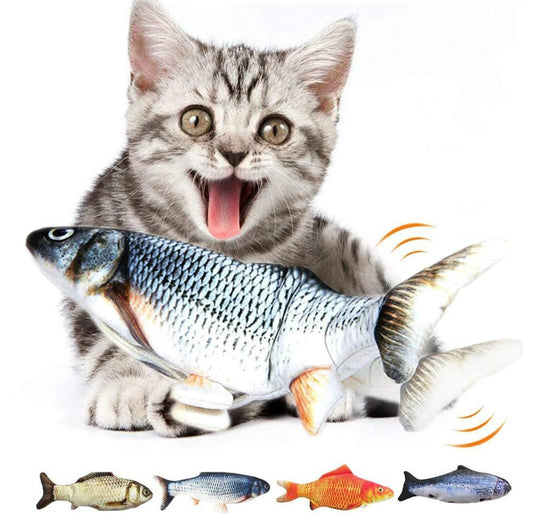 Gray tabby cat hugging a realistic flipping fish plush; multiple fish styles shown below.