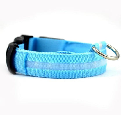 Sky-blue nylon LED collar with buckle and D-ring, side profile.