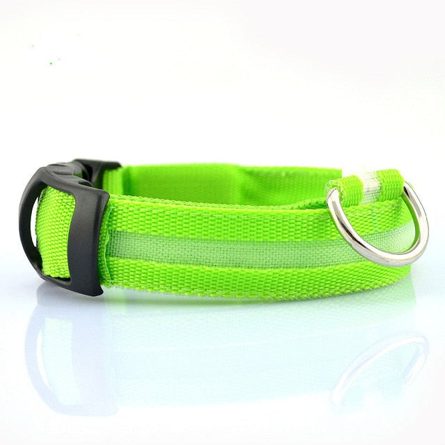 Lime green adjustable LED dog collar with D-ring on white background.