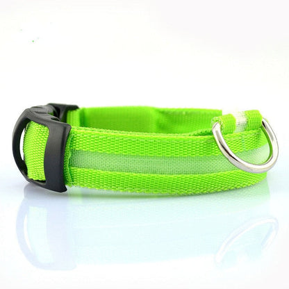 Lime green adjustable LED dog collar with D-ring on white background.