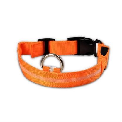 Orange nylon LED dog collar showing buckle, adjustment, and center light strip.