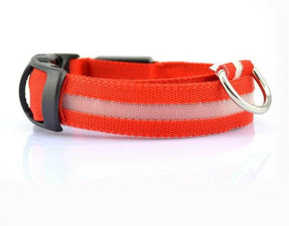 Bright orange LED dog collar with plastic buckle and silver D-ring.