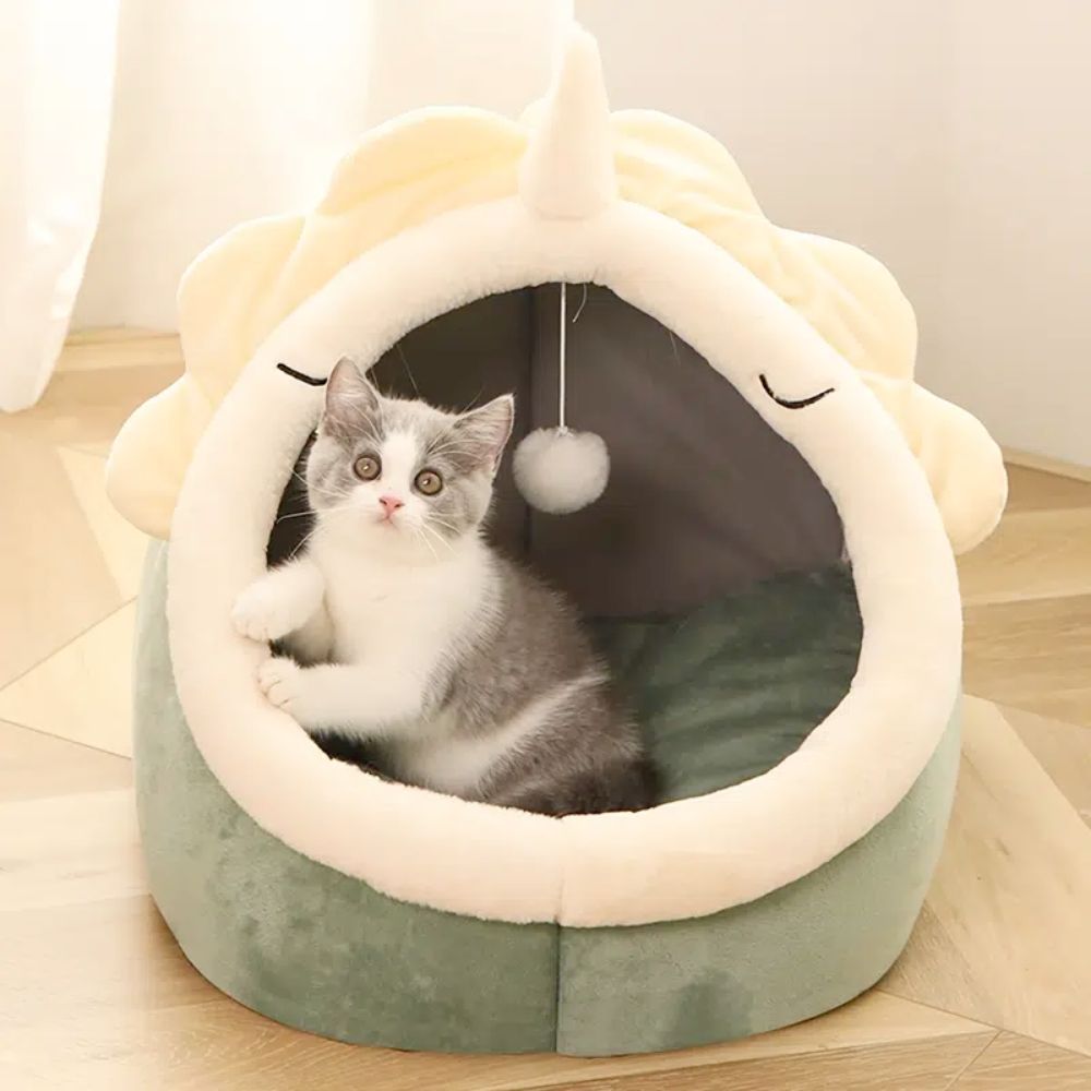 Cat relaxing inside dinosaur pet house with hanging pom toy – Pawfy Land
