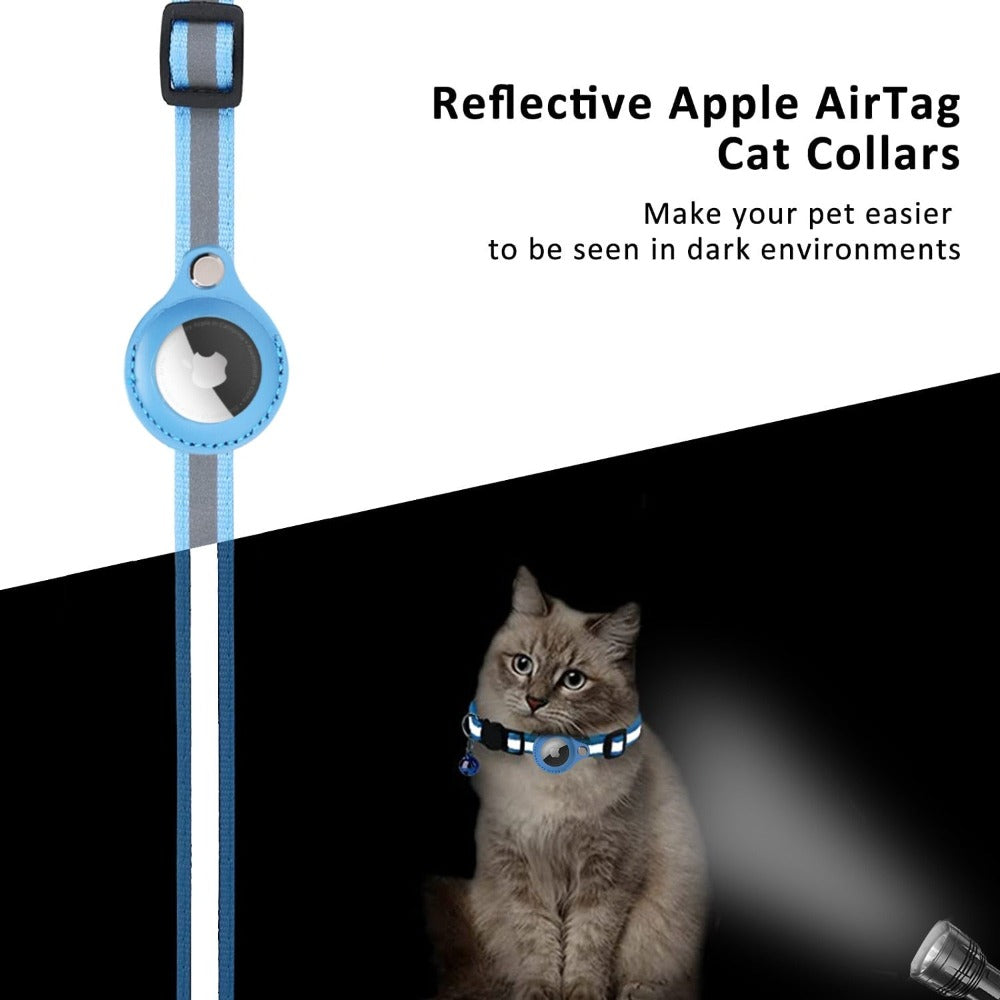 Cat wearing a blue reflective AirTag collar illuminated in a dark environment for high visibility.