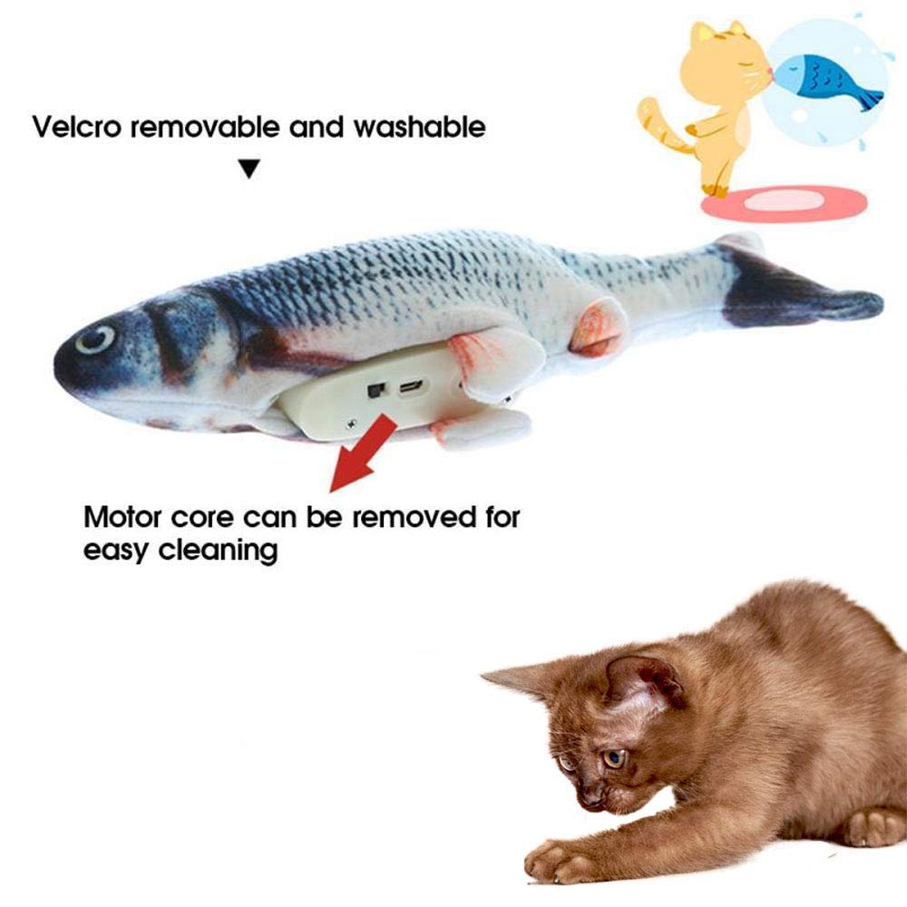 Fish toy with Velcro opening and detachable rechargeable motor module; kitten reaching.