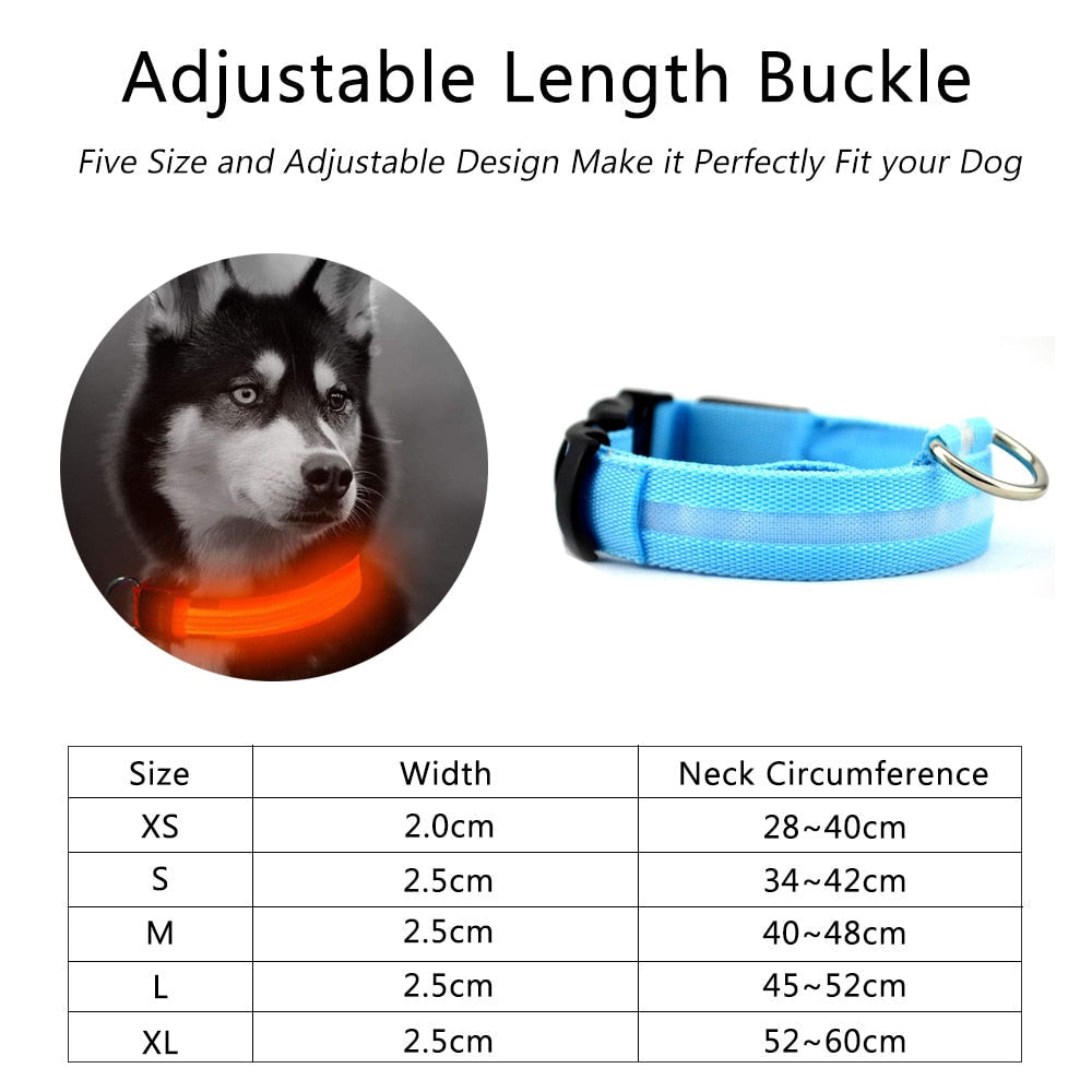 Chart of collar widths and neck circumferences next to blue LED collar and dog.
