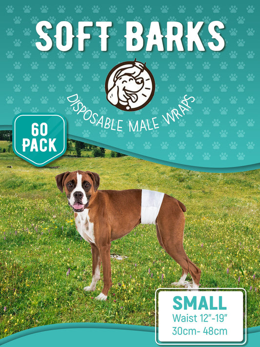 Boxer dog wearing a white disposable male wrap; “Soft Barks” Small 60-pack dog diapers on teal packaging.