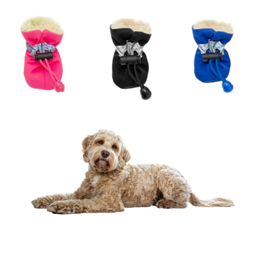 Three colors of fleece-lined dog boots with toggle closure, plus model dog lying down.
