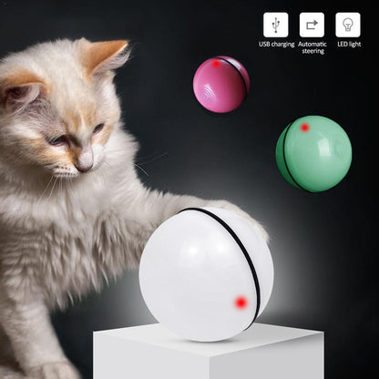 Cat batting a self-moving LED toy ball with multiple color options.
